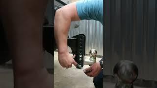 CURT 45900 Adjustable Trailer Hitch Ball Mount