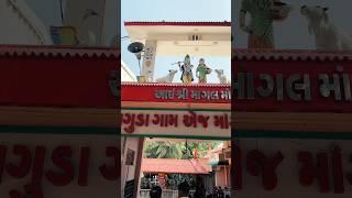 mogalma nu. chamtkarikmandir ,bhaguda ,bhavnagar#mogal #mogalmaa #sanatan #sanatandharma #sanatani