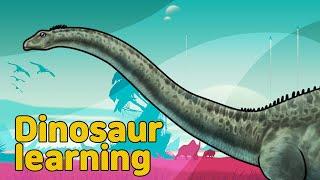 Dinosaur Rebbachisaurus Collection | herbivorous dinosaur Rebbachisaurus| 공룡 레바키사우루스