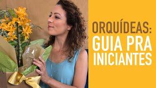 5 DICAS pra CUIDAR BEM de ORQUÍDEAS