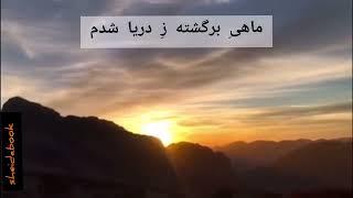 نیایشی عاشقانه با شعر محمد علی بهمنی|اجرا :شیدا یوسفی