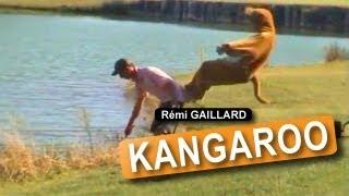 KANGAROO (REMI GAILLARD)