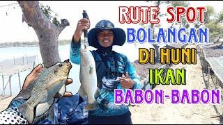 RUTE SPOT MANCING DI HUNI IKAN BABON-BABON [] Mancing Bolangan Harian