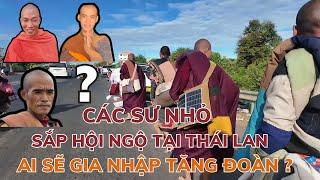 CÁC SƯ NHỎ SẼ HỘI NGỘ TẠI THÁI LAN - AI SẼ GIA NHẬP TĂNG ĐOÀN SƯ MINH TUỆ ? | #thichminhtue