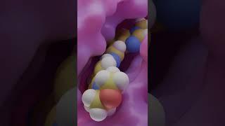 Hey, look here. A little dance and science! #animation #science #biology #3danimation #love