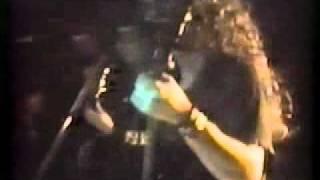 DBC (Dead Brain Cells) Terrorist Mind Live 1990