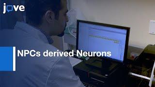 Neurite Outgrowth and Neurotoxicity Assessment in NPCs derived Neurons | Protocol Preview