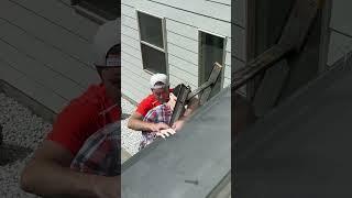 This PRANK Worked To PERFECTION! #shorts