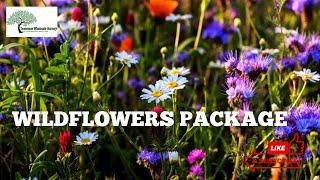 Buy Wildflowers Affordable, Big Sale Going on Now - Tn Nursery