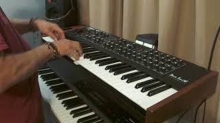 Dave Smith Prophet REV2 "Autumn In Ireland" ~ David Gentry 2018