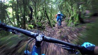 THE UNREAL EMERALD FOREST | Mountain Biking the Backcountry Pyrenees with BasqueMTB