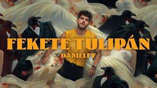 DÁNIELFY - Fekete tulipán