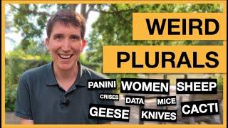 Weird plurals in English: Men, geese, sheep, knives and many more