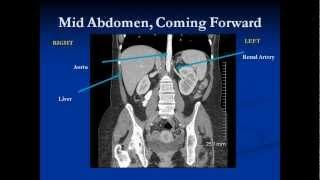 Abdomen Review (2009)