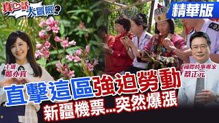 還沒旺季!新疆機票...提前漲!新疆沙漠奇蹟!羅布麻開花了!新疆博斯騰湖...最夯魚粽【#真心話大冒險】精華版‪ ‪@全球大視野Global_Vision ‪@中天電視CtiTv