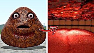 SECRET  HOW MUCH CAN POU FIT IN ITS MOUTH? In Garrys Mod!