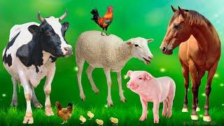 Sounds of 10 farm animals, know the sound of horse, cow, chicken, pig, duck