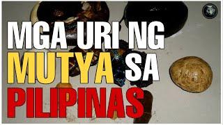 IBAT IBANG URI NG MUTYA NG KALIKASAN ,PAPAANO NGA BA NAKUKUHA AT ANG TAGLAY NITONG BISA | Bhes Tv