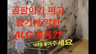 ALC 주택의 특징과 장점 ,편견과 오해 모두 파헤쳤습니다