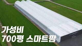 700평 규모, 2억 원 대 딸기 스마트팜 구축 완료_SMARTFARMING