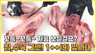 수육, 찜 그만드세요!! 강력한우에서 소개하는 특급부위 1++(9) 앞사태