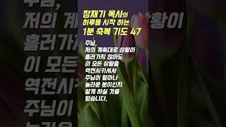 47 장재기 목사의 하루를 시작하는 1분 축복 기도 (따라하는 기도시리즈) #장재기 #따라하는기도시리즈 #장재기목사