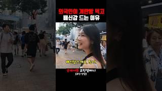 외국인이 계란빵 먹고 배신감 드는 이유.