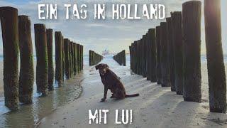 EIN TAG IN HOLLAND MIT LUI