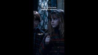 Harry and Ron being scared of Hermione #HarryPotter #RonWeasley #HermioneGranger