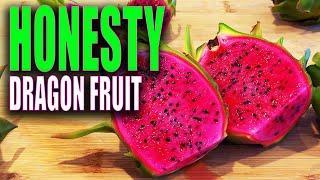 The DRAGON FRUIT I GIVE AWAY FOR FREE / HONESTY DRAGON FRUIT TASTE and REVIEW