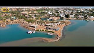 The Dive Connection | El Gouna | Oceans & Skies 2023