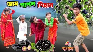 জাম পাগল দিহান | jam pagol dihan | bengali fairy tales | dihan | bihar | dihan natok |