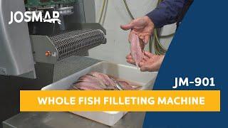 JOSMAR JM-901 Heading, Gutting and Filleting machine