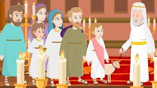 Jesus Is Lost and Found | Jesus Cleanses the Temple - Animated Bible Stories