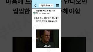 프리미엄 주고 분양권 사는 이유?