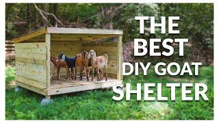 THE BEST DIY GOAT SHELTER(SO EASY)