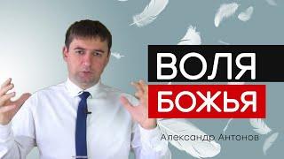 Что не является волей Божьей? | Проповедь Александр Антонов