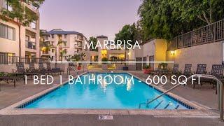 1 Bedroom 1 Bathroom 600 sqft - Marbrisa