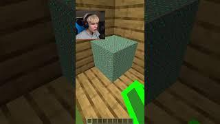 Иллюзия в Minecraft!  #shorts #майнкрафт #minecraft #майн #иллюзия #вмайнкрафт #lisfox #лисфокс