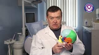 Зачем гнатологу остеопат? Гнатолог Александр Хамчишкин.