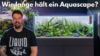 Wie lange hält ein Aquascape?