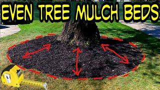 Perfect Circle Mulch Beds Around your Tree Using this Simple Trick