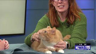 Furry Friends at 4: Butterball