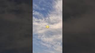 https://youtube.com/@catsrcute-p3f?si=_C4GJbSNHjtE-rUX .