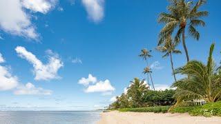 Start Living Your Best Life by the Sea - Tracy Allen - Coldwell Banker Realty - Hawaii Real Estate