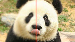 How To Fix and Sharpen Blurry Photos In Photoshop Tutorial