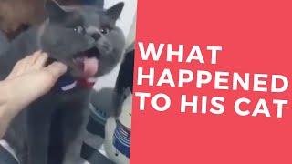 WHAT HAPPENED ?  l Crazy Fun l Funny Videos 2019