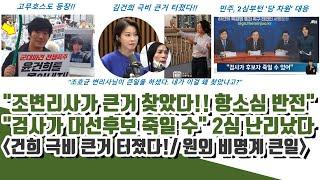 김건희 극비 큰거 터졌다!! "조변리사가 큰거 찾았다!! 항소심 반전" ("검사가 대선후보 죽일 수" 2심 난리났다)