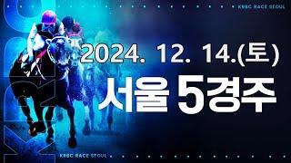 (서울) 2024.12.14 5경주