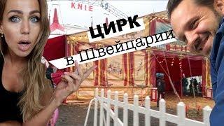 VLOG Выходные! ЦИРК! Ужины, покажу свои КАРТИНЫ ;)